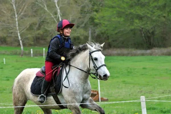 horseriding lessons