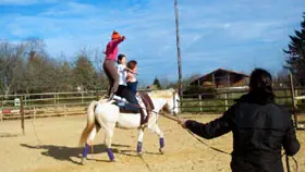 riding lessons